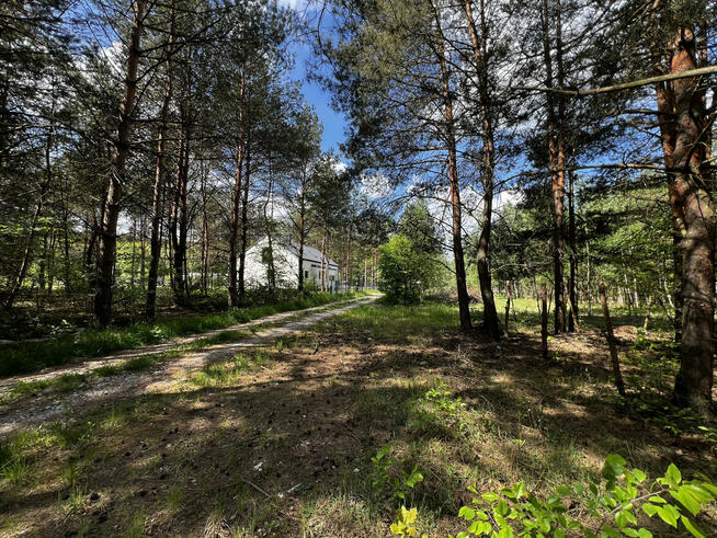Działka 1500 m2 w leśniej miejscowości Wężyk k.Grodziska Maz