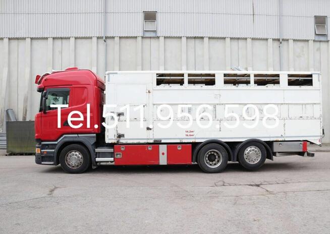 Do przewozu zwierzat 2 poz Scania