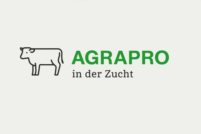 Praca za granicą - gospodarstwa rolne i hodowlane