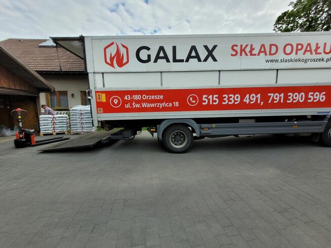 Pellet olczyk - GALAX