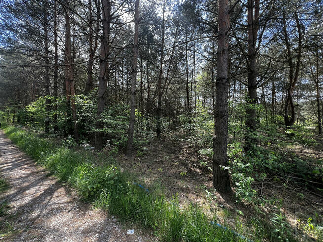 Działka 1500 m2 w leśniej miejscowości Wężyk k.Grodziska Maz