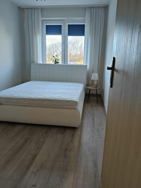Wynajmę mieszkanie Płock