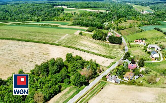Dom Celejów gm. Wąwolnica, Celejów