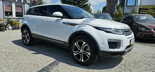 Land Rover Range Rover Evoque 4X4,2.0 D150KM, Salon PL,Igła ,Możliwa zamiana,GWARANCJA- AUTOMI-X.PL