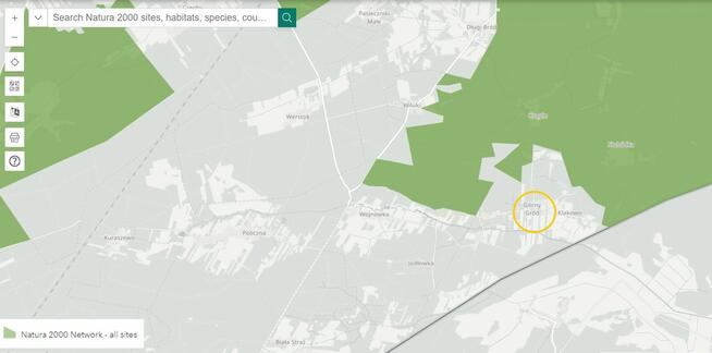 Górny Gród - Puszcza Bialowieska , dzalka 23,2674