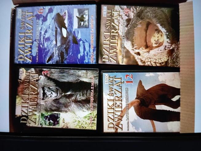 Filmy dvd BBC 16 sztuk o zwierzętach