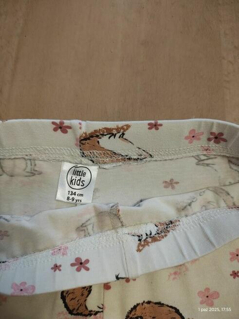 Legginsy getry leginsy Little KidsSinsay wiewiórki jeże