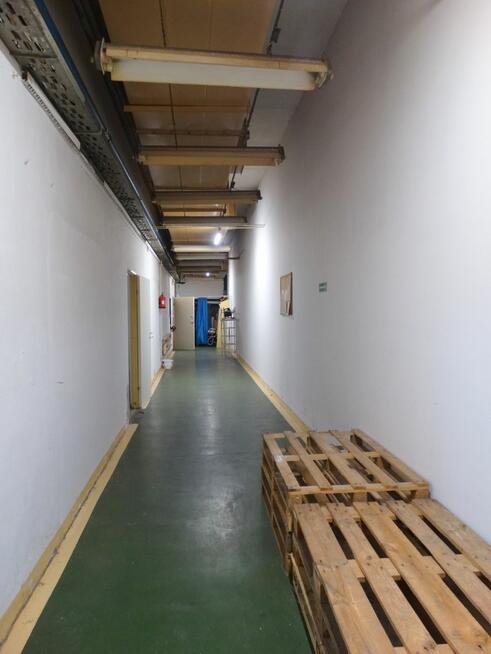Lokal użytkowy Jawor,