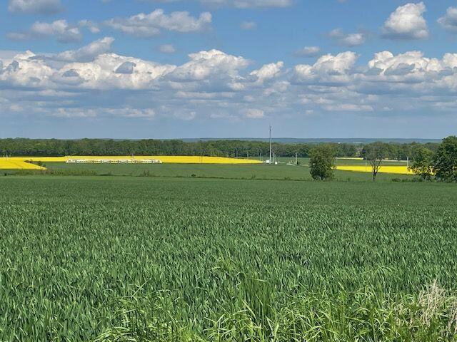 Działka budowlana Dobroszów gm. Chojnów,
