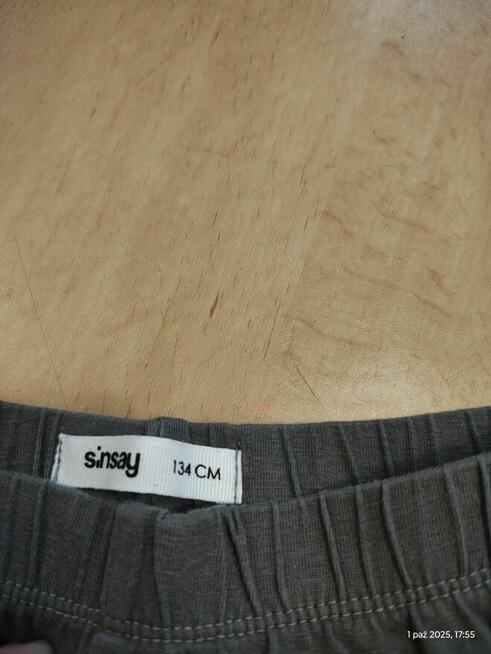 Legginsy getry leginsy Little KidsSinsay wiewiórki jeże