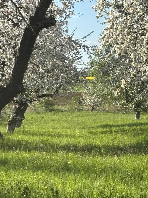Działka budowlana MAZURY