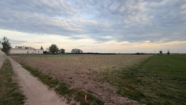 Działki budowlane na sprzedaż – Kotunia, gm. Słupca