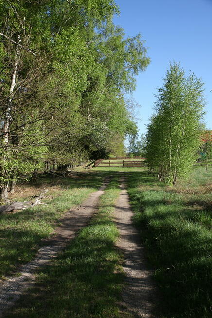 Działka na sprzedaż Zdory, warmińsko-mazurskie