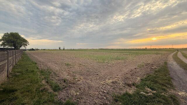 Działki budowlane na sprzedaż – Kotunia, gm. Słupca