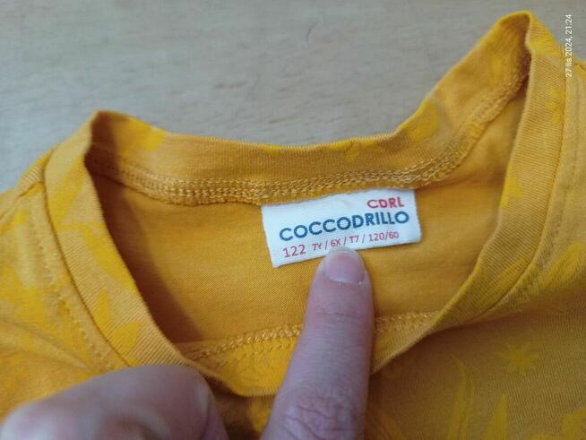 Bluzka bluzeczka T-shirt koszulka Coccodrillo - Stunning