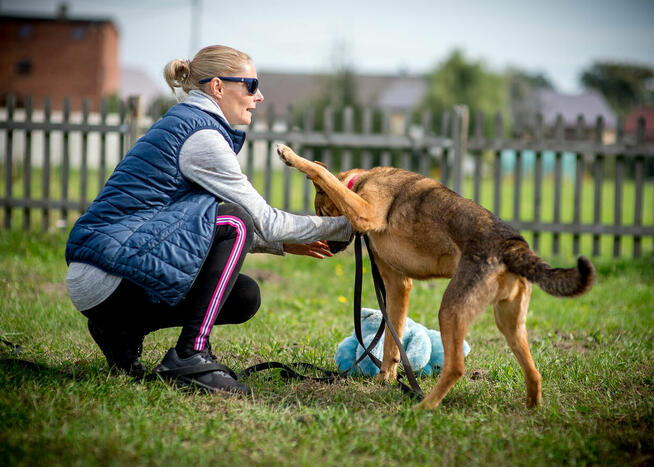Kromka poleca się do adopcji