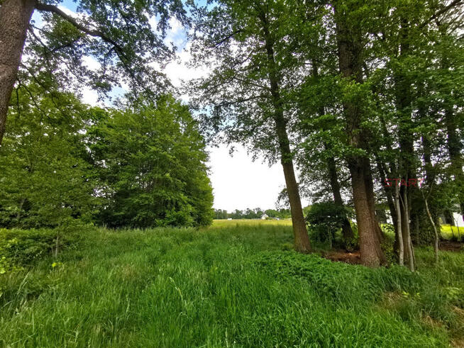 Działka budowlana Kałęczyn gm. Grodzisk Mazowiecki,