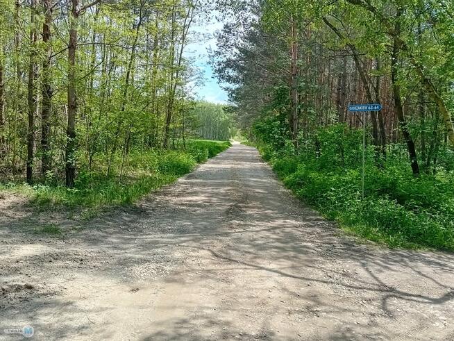 Działka rolna Gnojno Gorzakiew