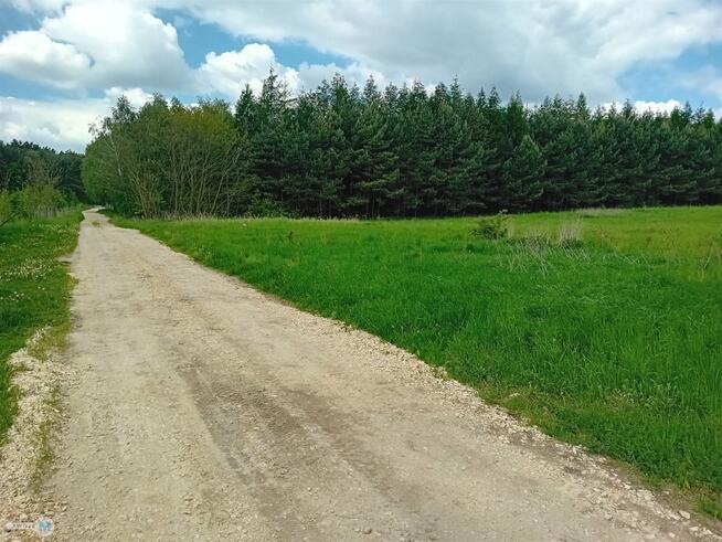 Działka rolna Gnojno Gorzakiew