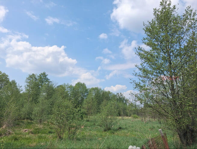 Działka budowlana Suchostruga gm. Tarczyn,