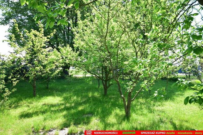 Dom do wykończenia graniczący z rz. Ciemięgą
