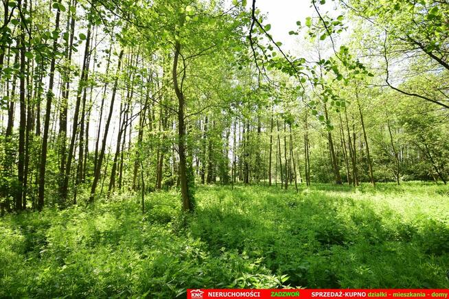 Dom do wykończenia graniczący z rz. Ciemięgą