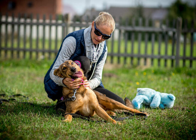 Kromka poleca się do adopcji