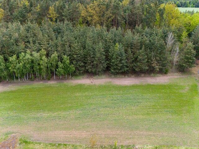 Działki rolne pod gospodarstwo i wypas zwierząt, Kuny, Leoni