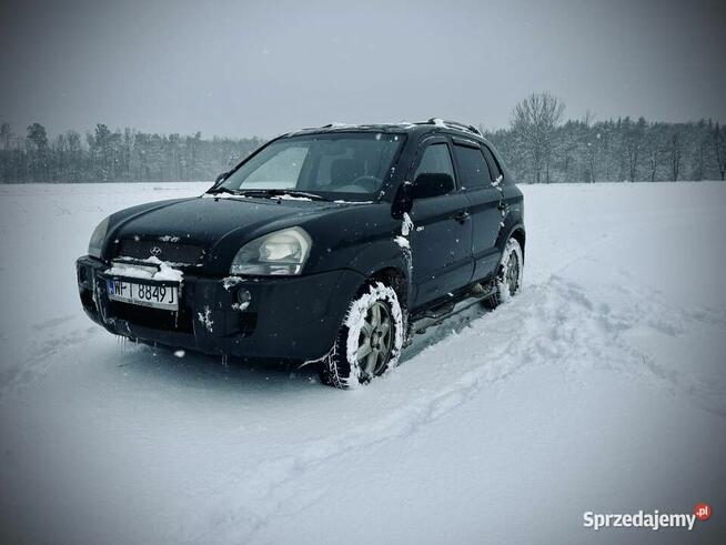 Octavię, Passata, Audi-A6, Mondeo-kupię naBenzyne.