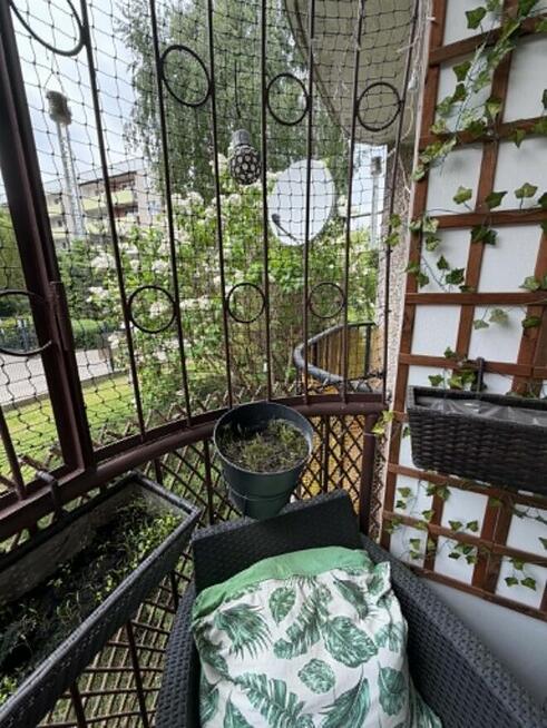 M4Zarzew pełen rozkład balkon do w prowadzenia