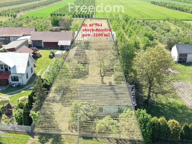 Działka budowlana 31ar z domem i budynkami