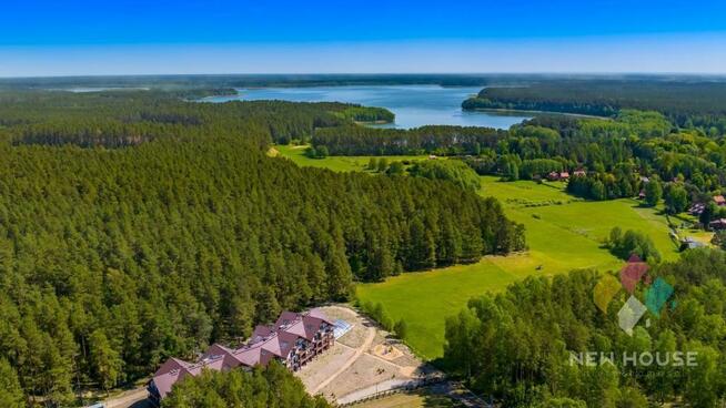 Apartament z widokiem na las