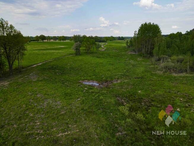 działka pod siedlisko, w otoczeniu lasu