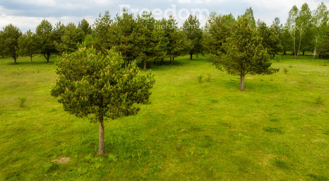 Działka Inwestycyjna 5,69 ha na Mazurach – Szymany