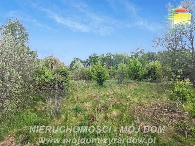 Działka budowlana Adamów-Parcel gm. Radziejowice