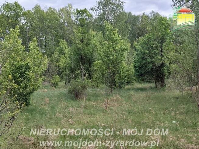 Działka budowlana Adamów-Parcel gm. Radziejowice