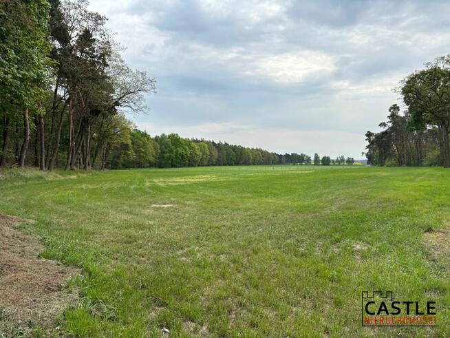 Działka usługowa Mieszków gm. Jarocin,