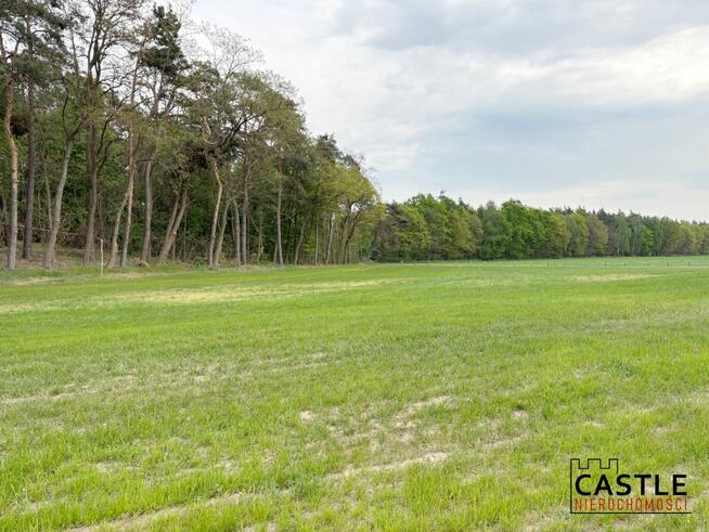 Działka usługowa Mieszków gm. Jarocin,