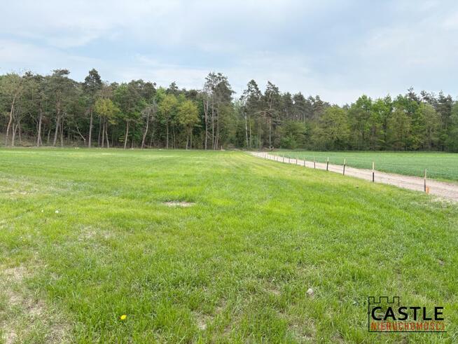 Działka usługowa Mieszków gm. Jarocin,