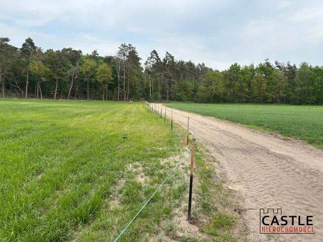 Działka usługowa Mieszków gm. Jarocin,