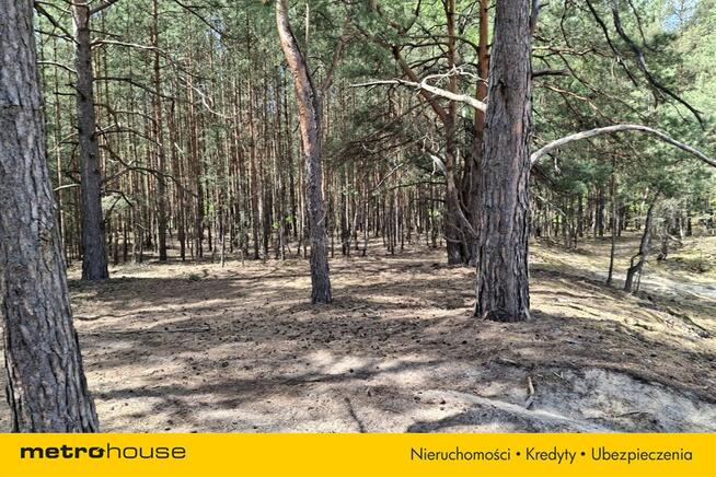 Działka usługowa 7000 m² WZ pod hotel, dom opieki