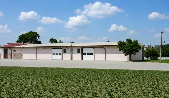 Magazyn 1230m2, działka 7350m2 Ożarów Mazowiecki