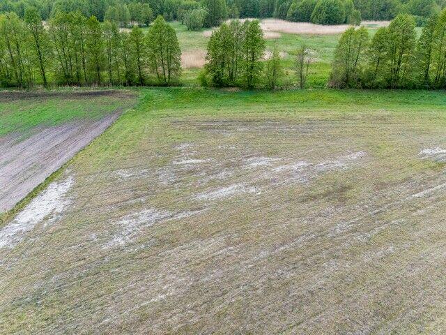Działki rolne pod gospodarstwo i wypas zwierząt, Kuny, Leoni