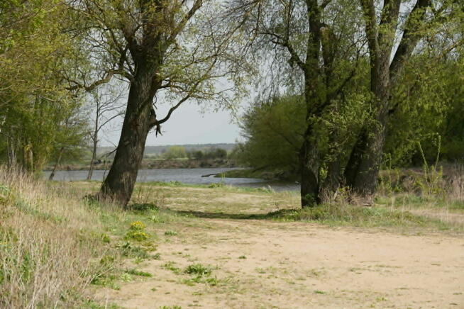 Działka budowlana Brok