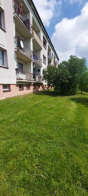 Mieszkanie na parterze Majków- Kalisz