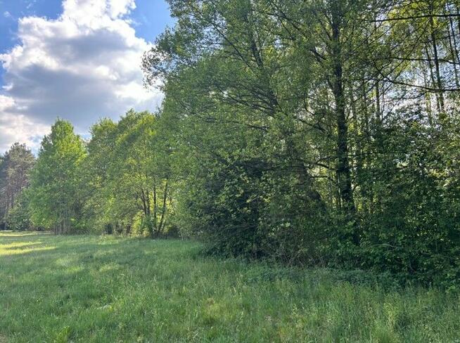 Działka 1,46 ha w Błędnicy – budowlano-leśna, media przy dzi