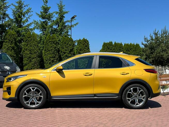 KIA XCEED| 1.4 TGDI| Benzyna| Automat| Gwarancja| Serwis ASO | FV 23%