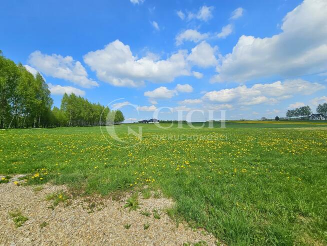 Dom Ołpiny gm. Szerzyny, Ołpiny