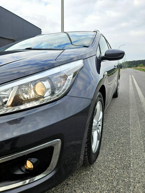 Kia Cee'd Kamera, Navi. KlimaTronik, Elektryka, Pdc. Serwis GWARANCJA