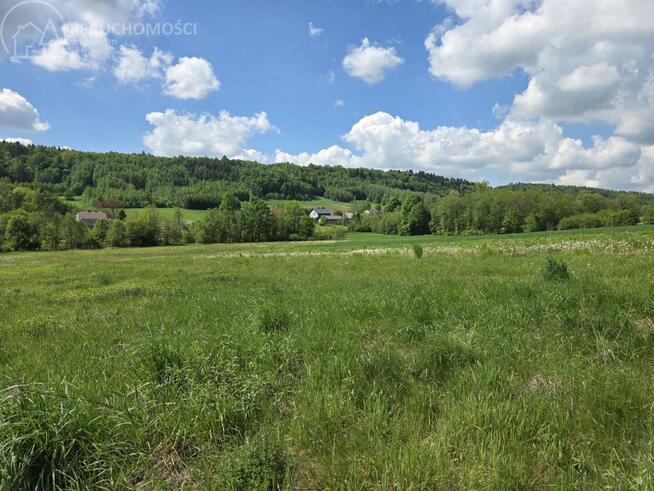 Działka rolno-budowlana Ołpiny gm. Szerzyny